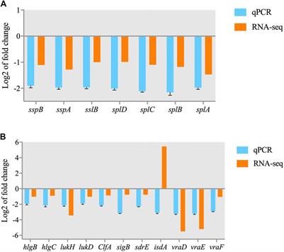 Combined proteomic and transcriptomic analysis of the antimicrobial mechanism of tannic acid against Staphylococcus aureus